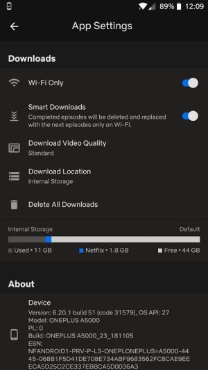 Settings screen for Netflix downloads on a mobile device showing storage details and options.